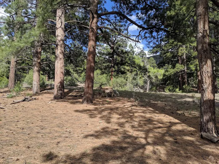Escape Dunes Picture 6