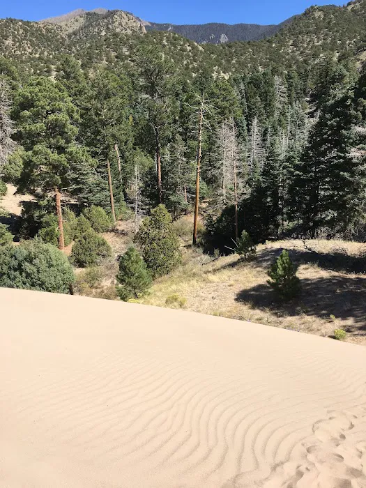 Escape Dunes Picture 7