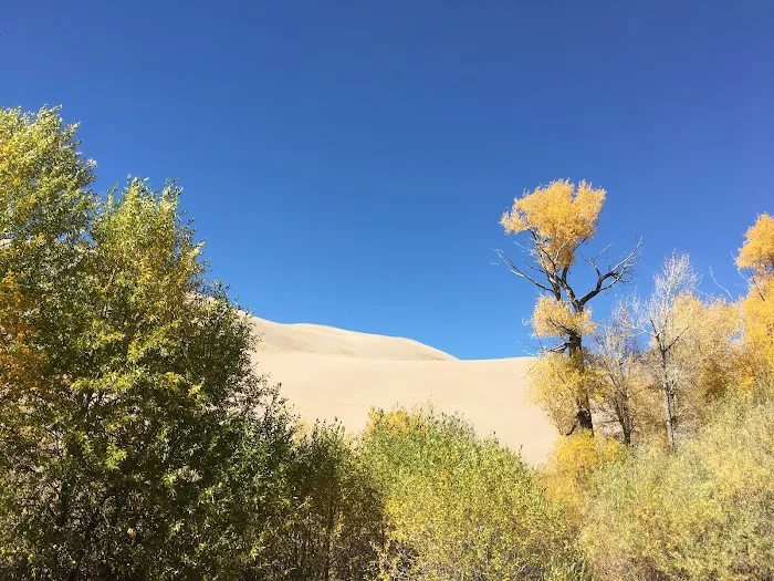 Escape Dunes Picture 4