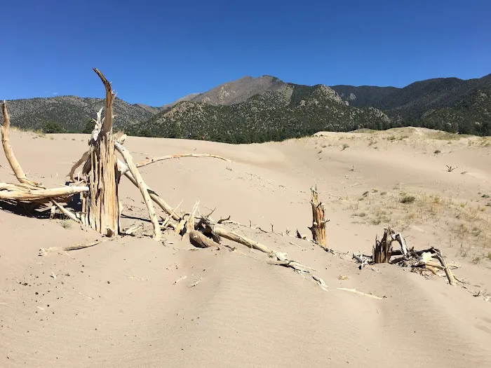 Escape Dunes Picture 5