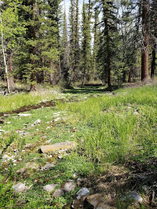 Big Springs Picknick Area Picture 4