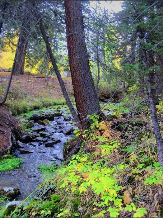 Big Springs Picknick Area Picture 6