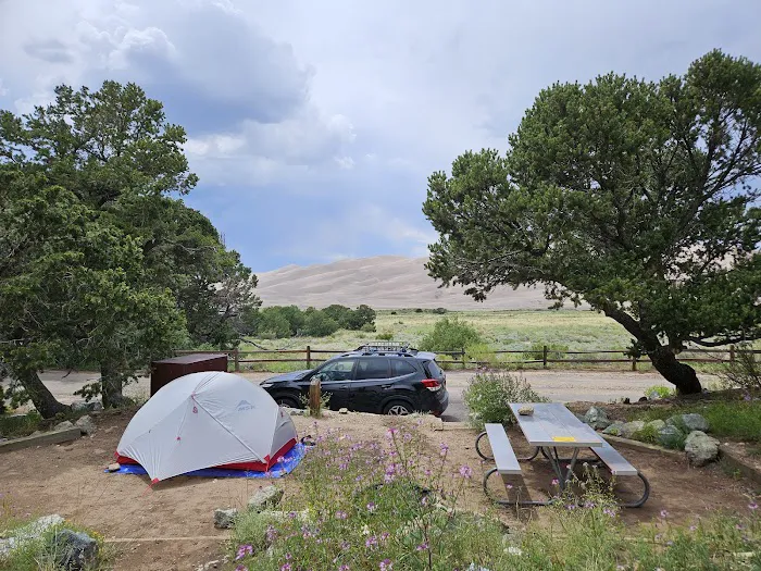 Piñon Flats Campground Picture 8