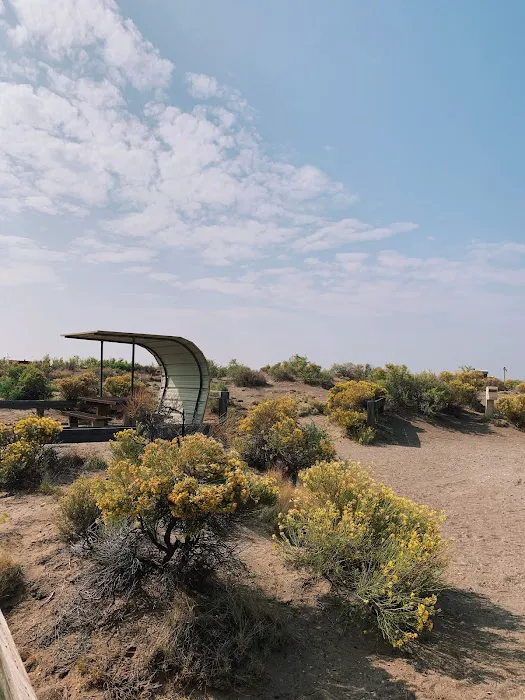 Mosca Campground Picture 2