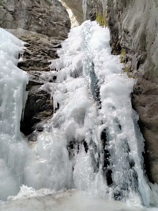 Zapata Falls Campground Picture 2
