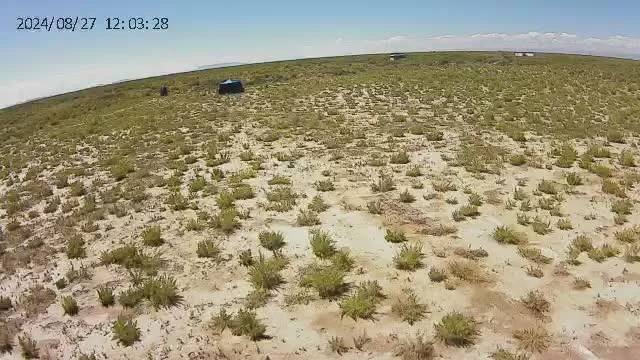 Quiet Oasis Picture 1