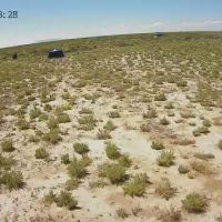Quiet Oasis ico