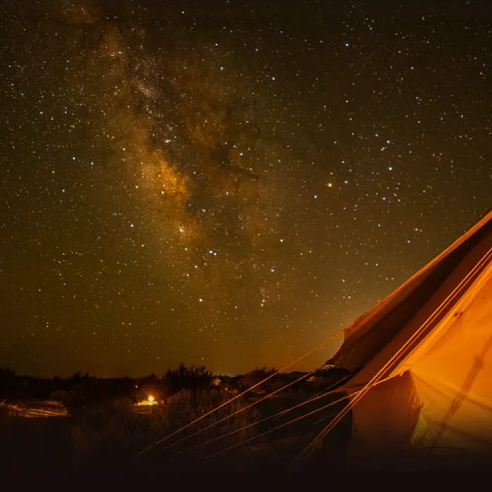 Camp Dune Picture 10