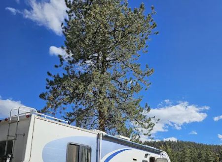 Buffalo Pass Campground