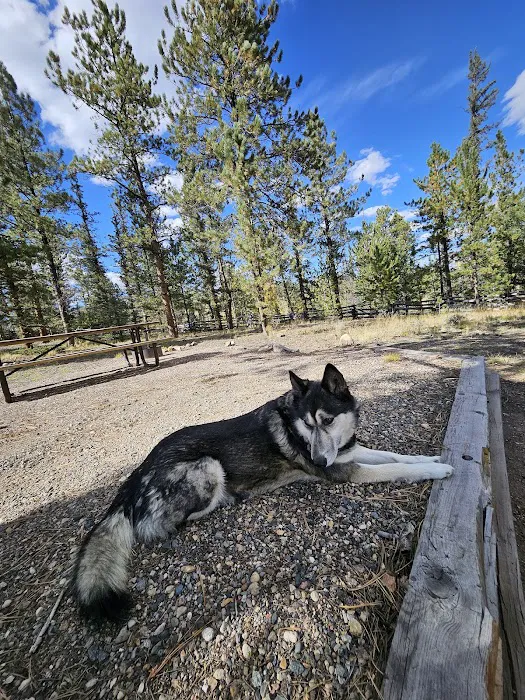Buffalo Pass Campground Picture 2