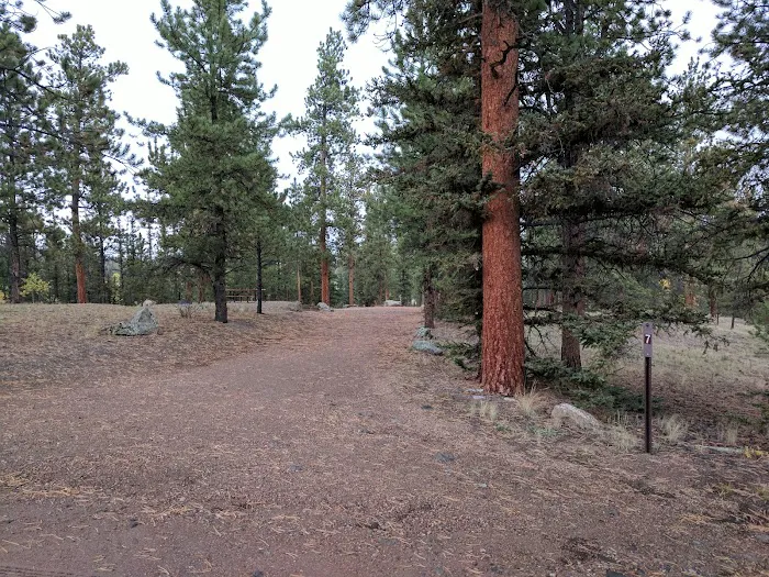 Buffalo Pass Campground Picture 6
