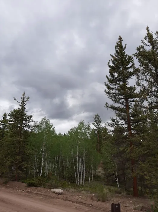 Buffalo Pass Campground Picture 10