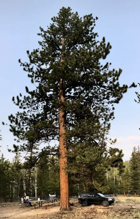Buffalo Pass Campground Picture 7
