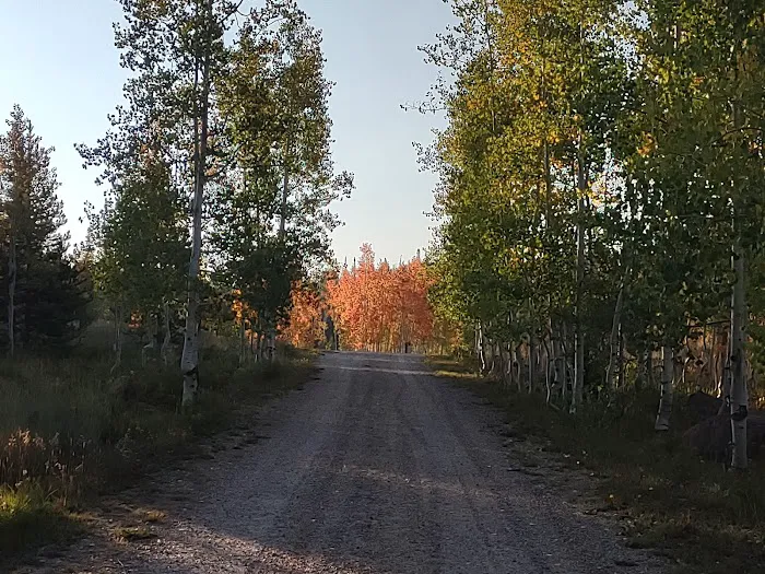 Freeman Reservoir Campground Picture 3