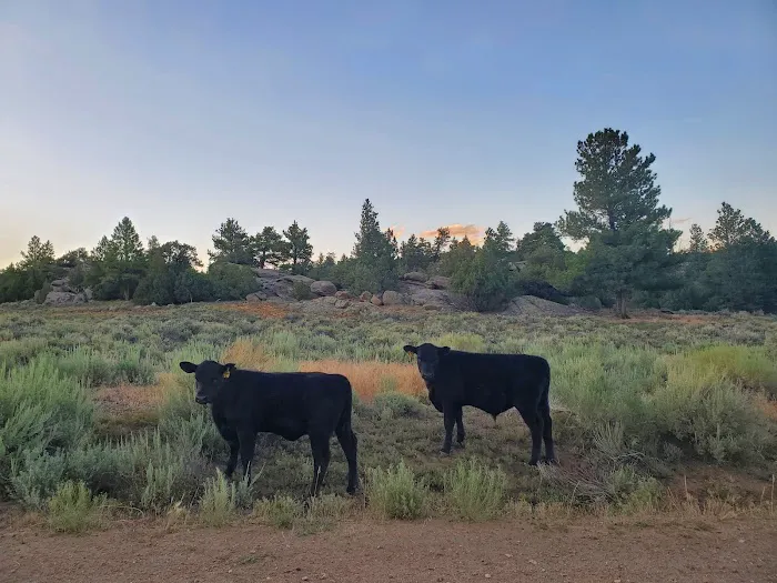 Corral Creek Campground Picture 1