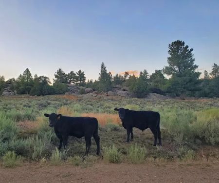 Corral Creek Campground