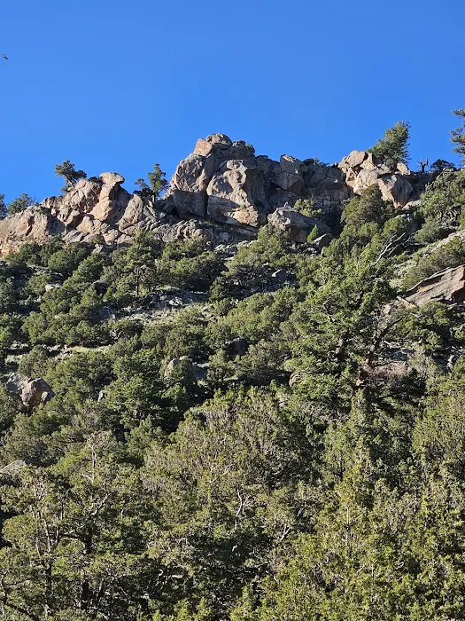 Bennett Creek Campground Picture 7