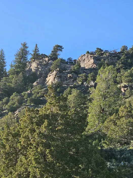 Bennett Creek Campground Picture 3