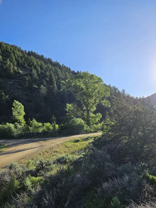 Bennett Creek Campground Picture 10