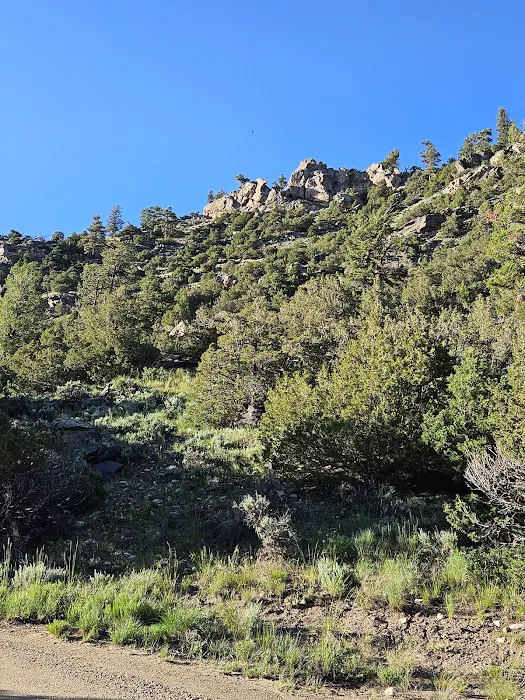 Bennett Creek Campground Picture 8