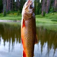 Silver Lake Campground ico