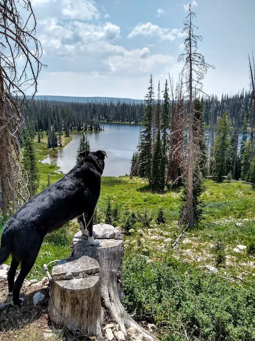 Silver Lake Campground Picture 7