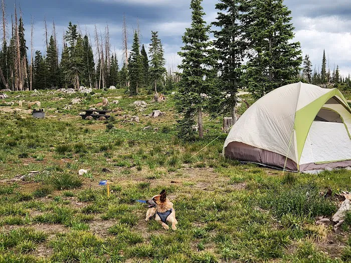 Silver Lake Campground Picture 9