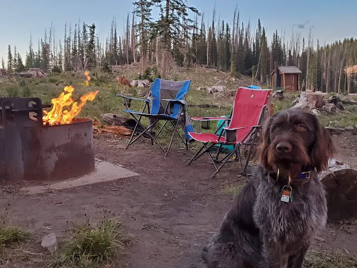 Silver Lake Campground Picture 3