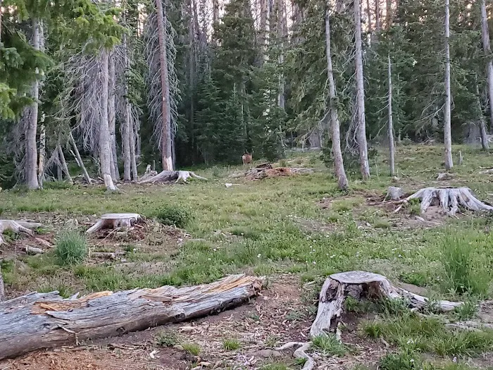 Silver Lake Campground Picture 4