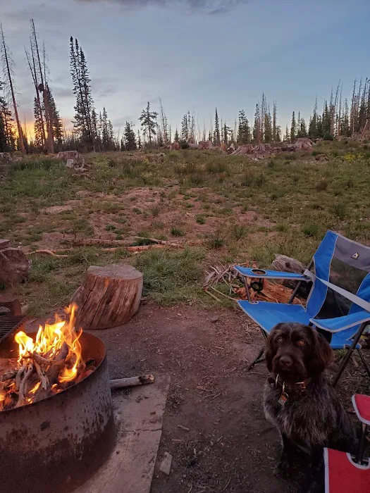 Silver Lake Campground Picture 6