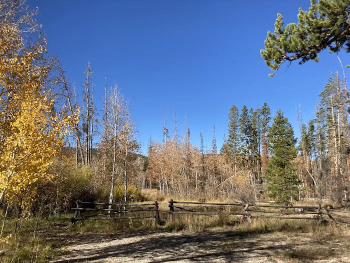 Ryan Park Campground Picture 7