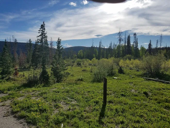 Ryan Park Campground Picture 2