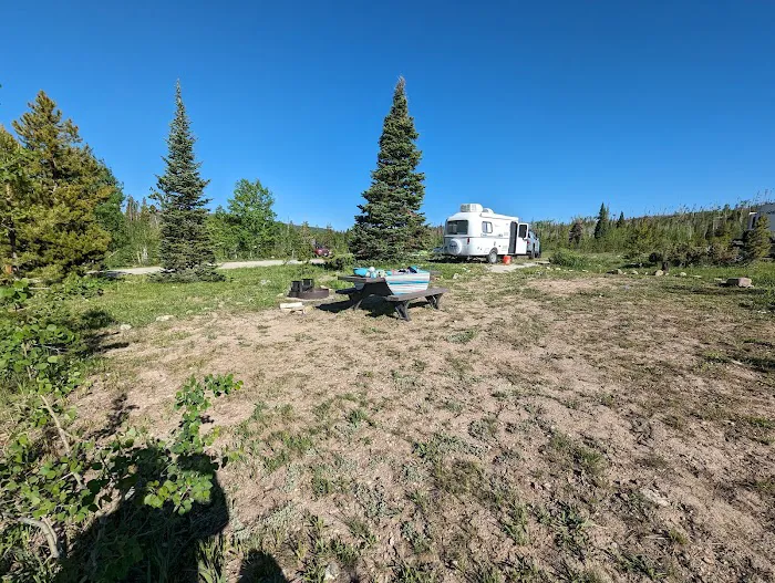 Ryan Park Campground Picture 5