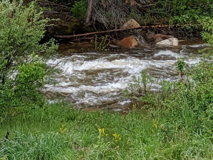 South Brush Creek Campground Picture 2
