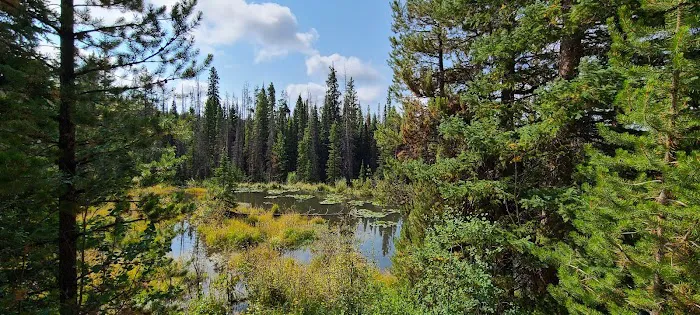 South Brush Creek Campground Picture 9