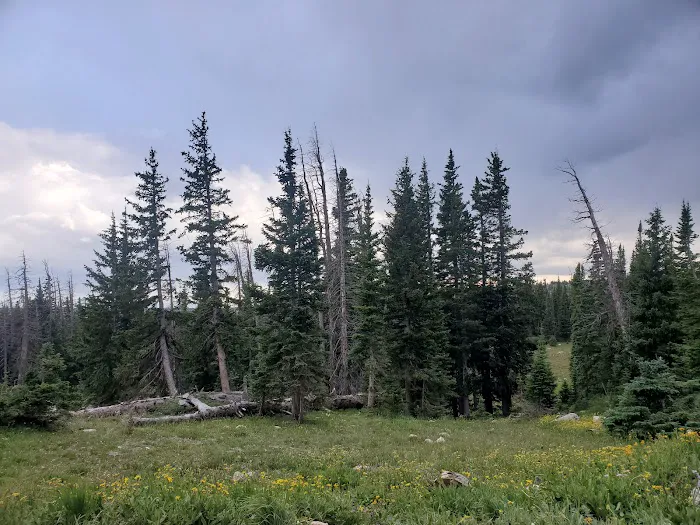 Sugarloaf Campground Picture 6
