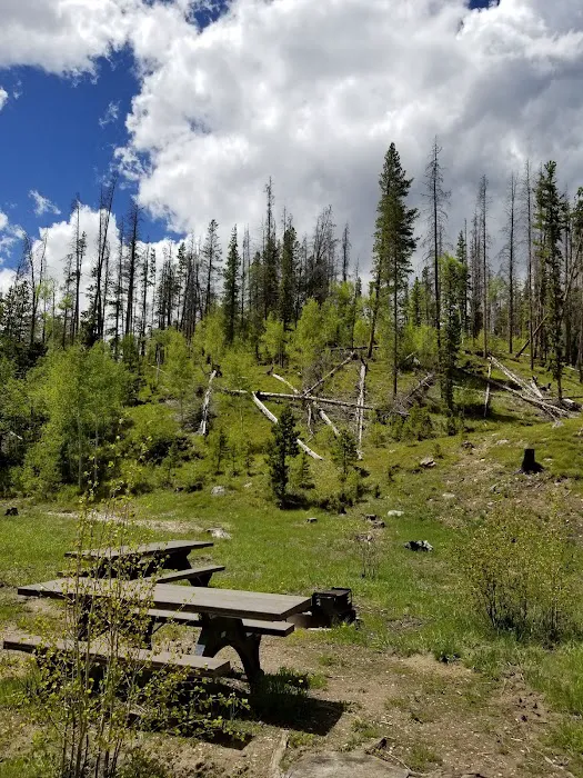 Libby Creek Pine Campground Picture 4