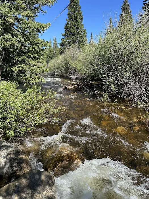 Libby Creek Pine Campground Picture 5