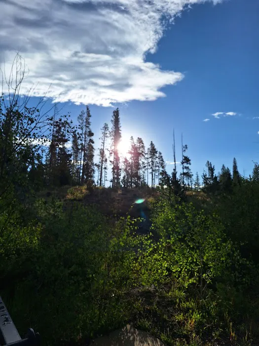 Libby Creek Pine Campground Picture 1