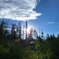 Libby Creek Pine Campground ico
