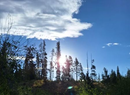 Libby Creek Pine Campground