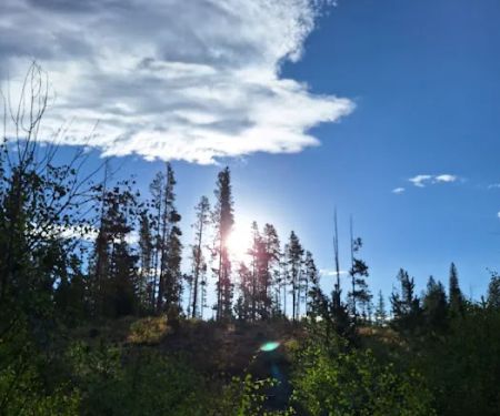 Libby Creek Pine Campground