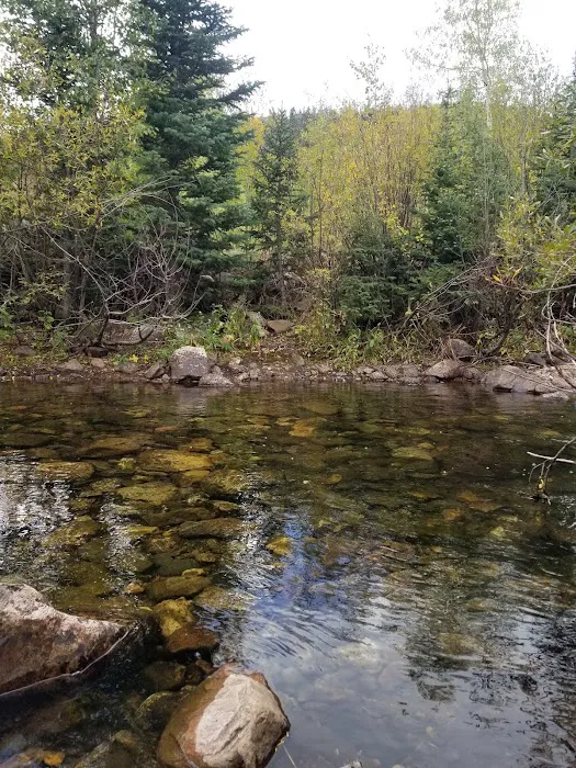 Libby Creek Pine Campground Picture 9