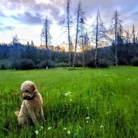 Jack Creek Campground ico