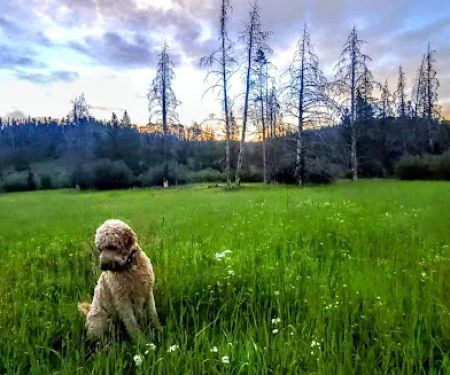 Jack Creek Campground