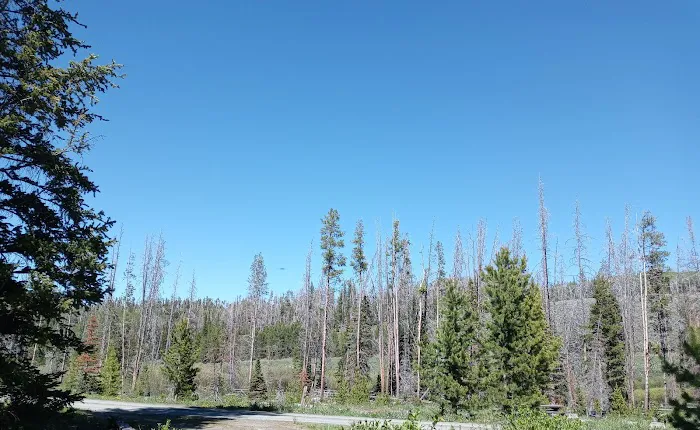 Jack Creek Campground Picture 3