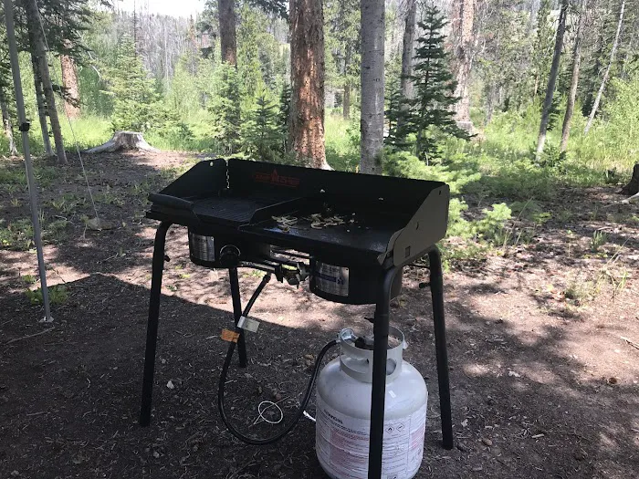 Jack Creek Campground Picture 8