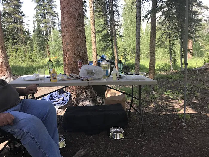 Jack Creek Campground Picture 10