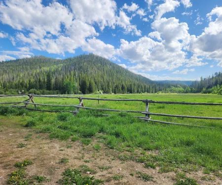Lincoln Park Campground