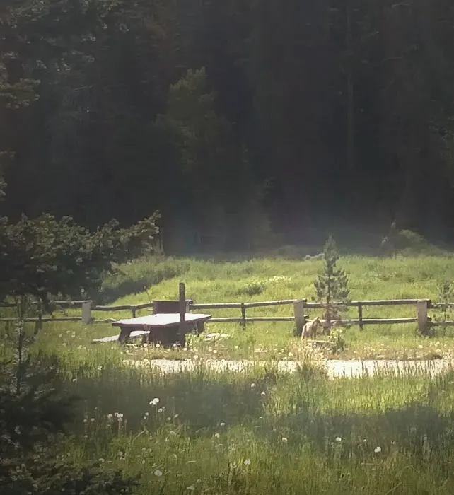Lincoln Park Campground Picture 3